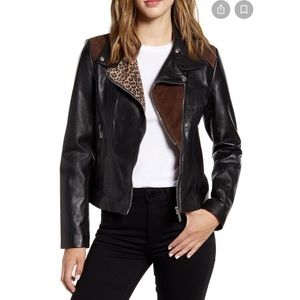 NEW Bernardo Suede Leopard Detail Leather Moto Zip Mixed Media Jacket Womens M